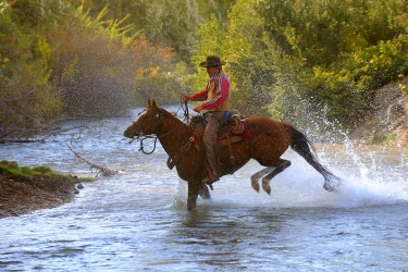 Water Cowboy